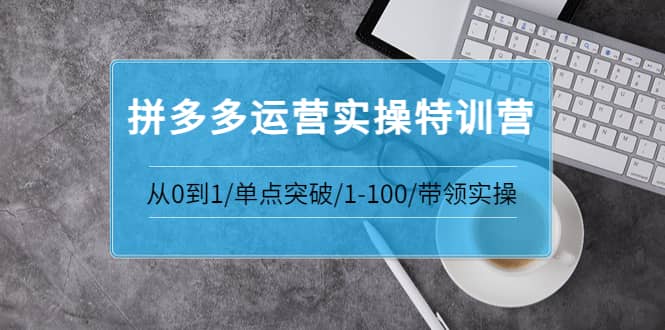拼多多运营实操特训营：从0到1/单点突破/1-100/带领实操 价值2980元-悟空知识星球