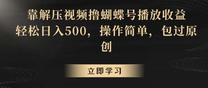 靠解压视频撸蝴蝶号播放收益，轻松日入500，操作简单，包过原创【揭秘】-悟空知识星球
