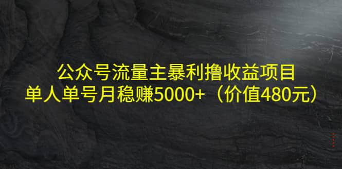 公众号流量主暴利撸收益项目，单人单号月稳赚5000+（价值480元）-悟空知识星球