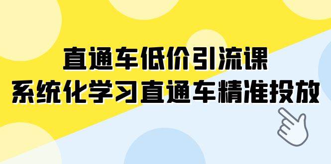 （7698期）直通车-低价引流课，系统化学习直通车精准投放（14节课）-悟空知识星球