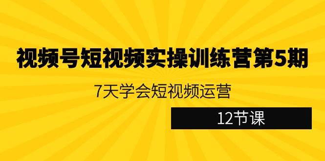 （9029期）视频号短视频实操训练营第5期：7天学会短视频运营（12节课）-悟空知识星球