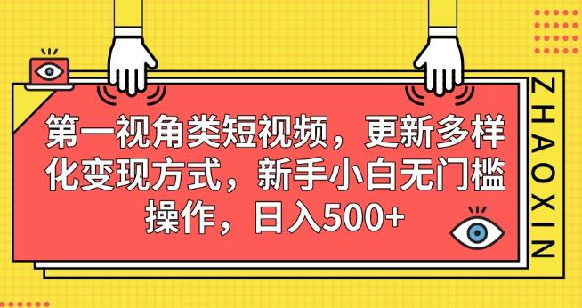 第一视角类短视频，更新多样化变现方式，新手小白无门槛操作，日入500+【揭秘】-悟空知识星球
