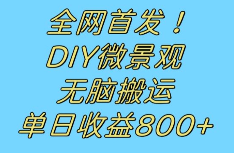 全网首发冷门赛道！DIY微景观，无脑搬运视频，日收益800+【揭秘】-悟空知识星球