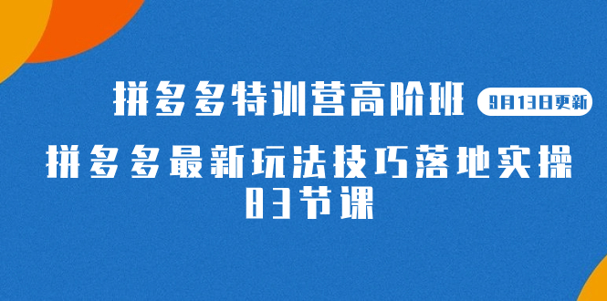 2023拼多多·特训营高阶班【9月13日更新】拼多多最新玩法技巧落地实操-83节-悟空知识星球