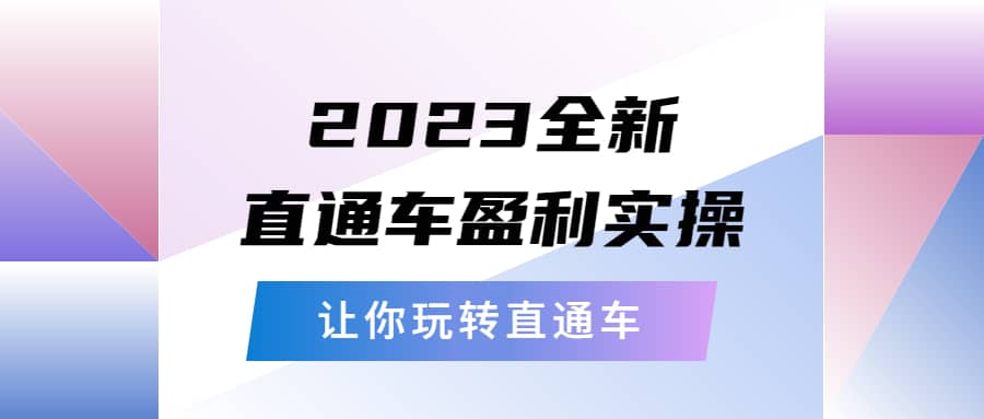 2023全新直通车·盈利实操：从底层，策略到搭建，让你玩转直通车-悟空知识星球