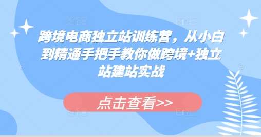 跨境电商独立站训练营，从小白到精通手把手教你做跨境+独立站建站实战-悟空知识星球