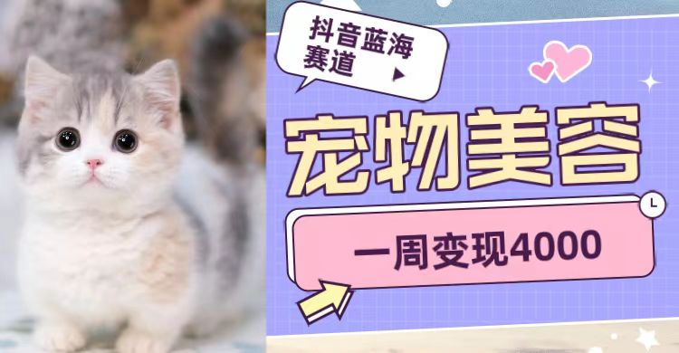抖音蓝海赛道，宠物美容，一周变现4000-悟空知识星球