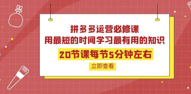 拼多多运营必修课：20节课每节5分钟左右，用最短的时间学习最有用的知识-悟空知识星球