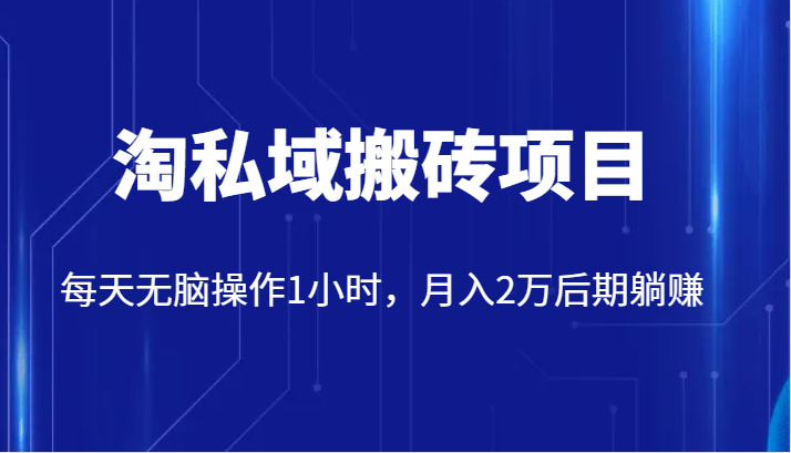 价值2980的淘私域搬砖项目，每天无脑操作1小时，月入2万后期躺赚-悟空知识星球