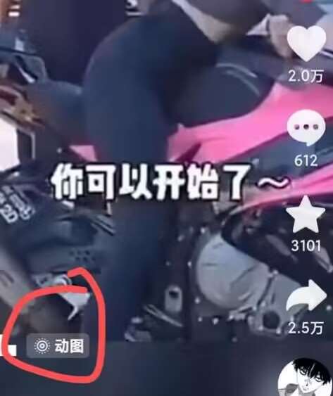 图片[2]-2024年7月苹果手机动图搬运技术-悟空知识星球