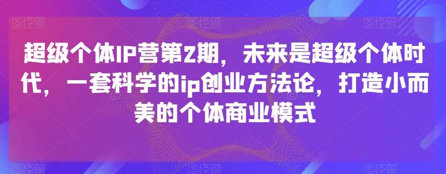 超级个体IP营第2期，未来是超级个体时代，一套科学的ip创业方法论，打造小而美的个体商业模式-悟空知识星球