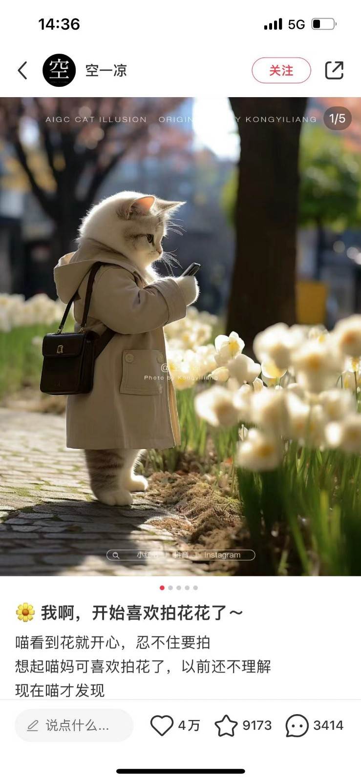 图片[2]-AI猫咪穿搭保姆级教程，起号容易，变现途径多-悟空知识星球