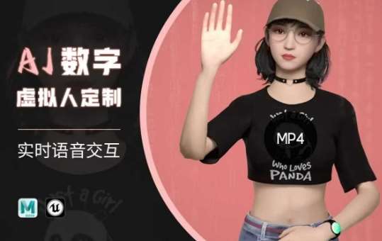 Ai数字人虚拟(智能体)实时语音交互特训营，​自行定制超写实角色AI数字人交互技术-悟空知识星球