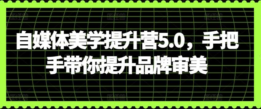 自媒体美学提升营5.0，手把手带你提升品牌审美-悟空知识星球