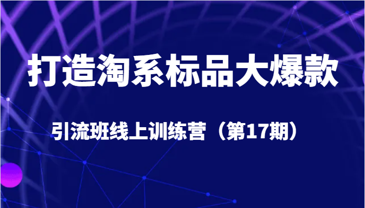 打造淘系标品大爆款引流班线上训练营5天直播授课+1个月答疑-悟空知识星球