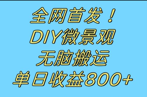 全网首发冷门赛道！DIY微景观，无脑搬运视频，日收益800+-悟空知识星球