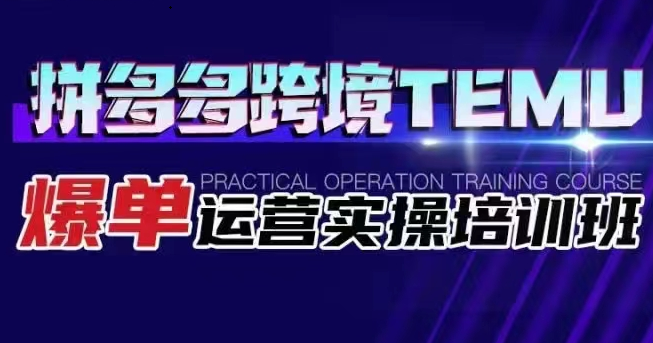 拼多多跨境TEMU爆单运营实操培训班 海外拼多多的选品、运营、爆单-悟空知识星球