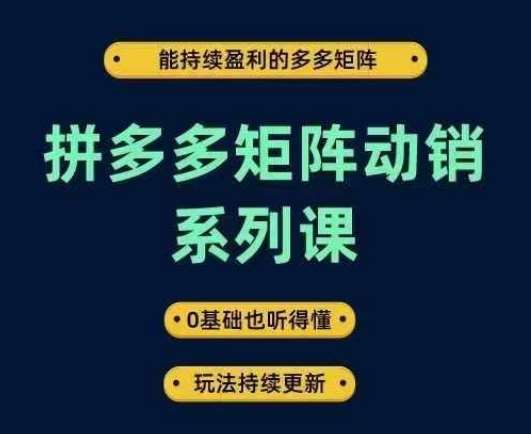 拼多多矩阵动销系列课，能持续盈利的多多矩阵，0基础也听得懂，玩法持续更新-悟空知识星球