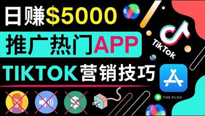 无需露脸，无需录音，无需投资，TIKTOK上传短视频，最高日入5000美元-悟空知识星球
