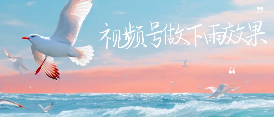 视频号做下雨视频，一个账号一周涨粉10W+，日入1000+附保姆级教程-悟空知识星球