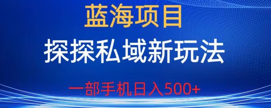蓝海项目，探探私域新玩法，一部手机日入500+很轻松【揭秘】-悟空知识星球