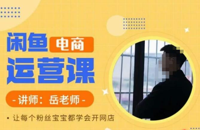 岳老师·闲鱼电商运营课，让每个粉丝宝宝都学会开网店-悟空知识星球
