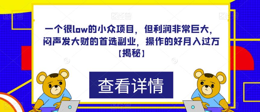 一个很low的小众项目，但利润非常巨大，闷声发大财的首选副业，操作的好月入过万【揭秘】-悟空知识星球