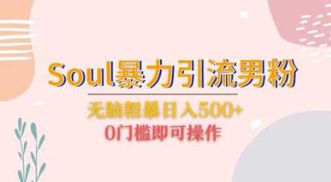 Soul暴力引流男粉玩法,无脑粗暴日入500+,0门槛即可操作【揭秘】-悟空知识星球
