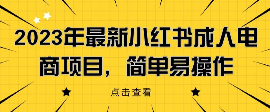 2023年最新小红书成人电商项目，简单易操作【详细教程】【揭秘】-悟空知识星球