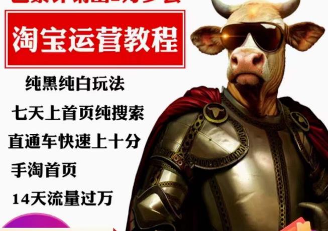 猫老师·淘系算法逆向解密，​纯黑纯白玩法，七天上首页纯搜索，手淘首页14天流量过万-悟空知识星球