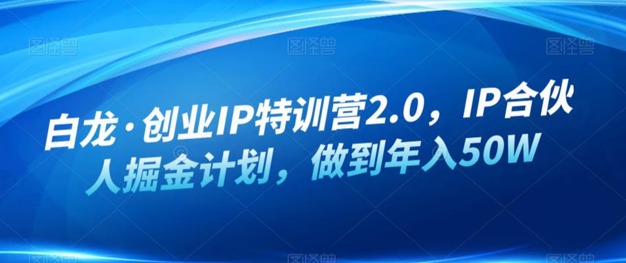 白龙·创业IP特训营2.0，IP合伙人掘金计划，做到年入50W-悟空知识星球