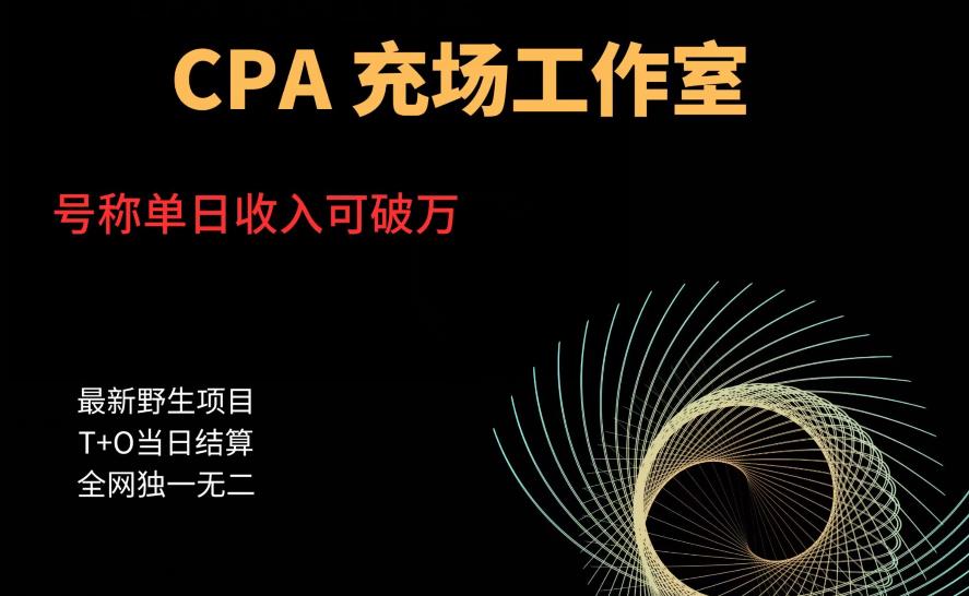 cpa充场工作室，号称单日收入10000+（揭秘）-悟空知识星球