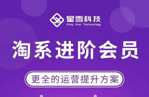 星雪·淘系进阶课程，快速提升突破技能流量瓶颈必备（更新2023年5月）-悟空知识星球