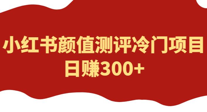 外面1980的项目，小红书颜值测评冷门项目，日赚300+【揭秘】-悟空知识星球