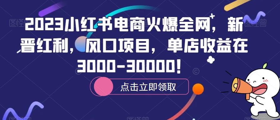 2023小红书电商火爆全网，新晋红利，风口项目，单店收益在3000-30000！-悟空知识星球