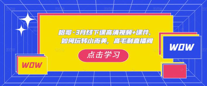 哈哥·3月线下实操课高清视频+课件，如何玩转小而美，高毛利直播间-悟空知识星球