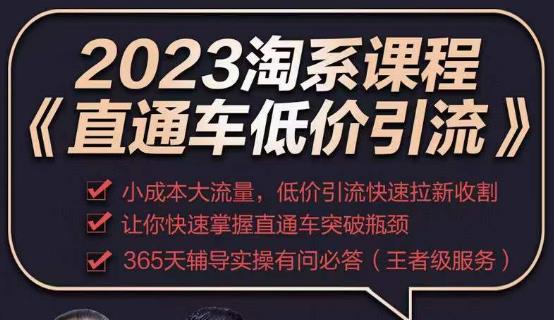 2023直通车低价引流玩法课程，小成本大流量，低价引流快速拉新收割，让你快速掌握直通车突破瓶颈-悟空知识星球