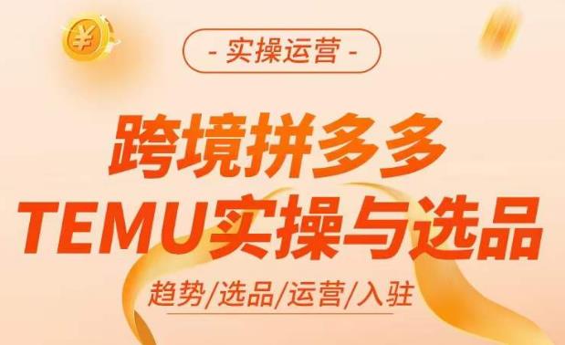 跨境拼多多TEMU实操与选品,掌握平台运营方法技巧,选品避坑12条标准,爆款的底层思路等-悟空知识星球