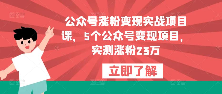 公众号涨粉变现实战项目课，5个公众号变现项目，实测涨粉23万-悟空知识星球