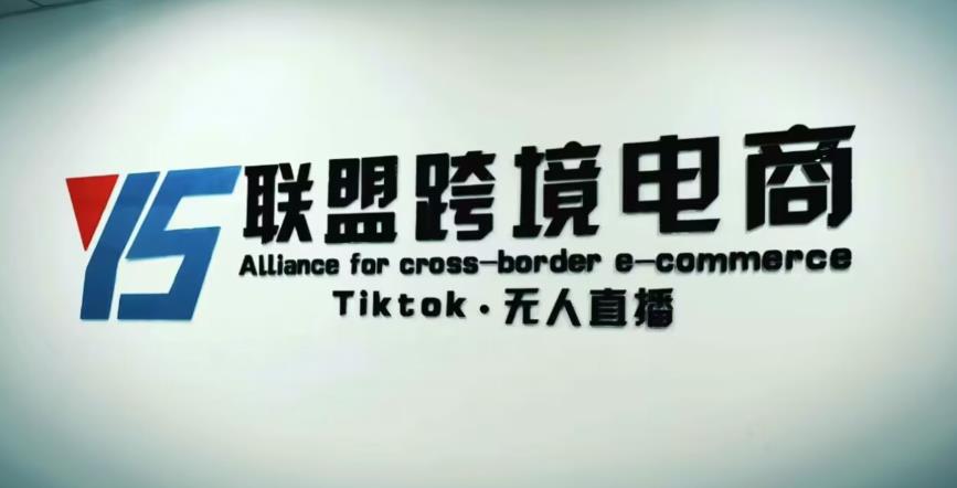 YS联盟·Tiktok无人直播，不出镜不剪辑不拍摄不发货无售后的跨境短视频躺赚玩法-悟空知识星球