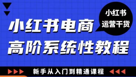 小红书电商高阶系统教程，新手从入门到精通系统课-悟空知识星球