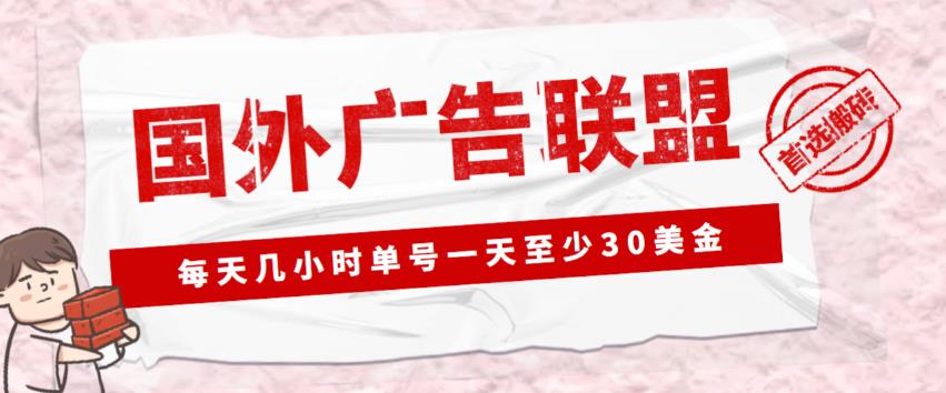 外面收费1980的最新国外LEAD广告联盟搬砖项目，单号一天至少30美金【详细玩法教程】-悟空知识星球