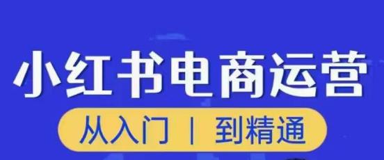 顽石小红书电商高阶运营课程，从入门到精通，玩法流程持续更新-悟空知识星球