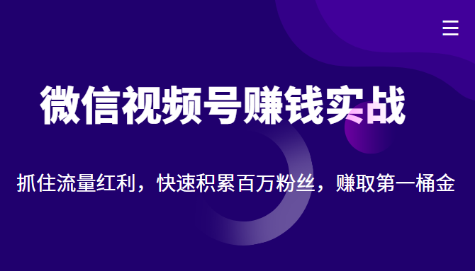 微信视频号赚钱实战：抓住流量红利，快速积累百万粉丝，赚取你的第一桶金-悟空知识星球