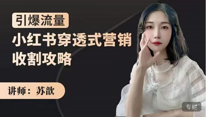 苏歆：小红书穿透式营销收割攻略，引爆流量，助你玩转小红书-悟空知识星球