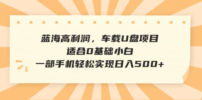 蓝海高利润，车载U盘项目，适合0基础小白，一部手机轻松实现日入500+-悟空知识星球