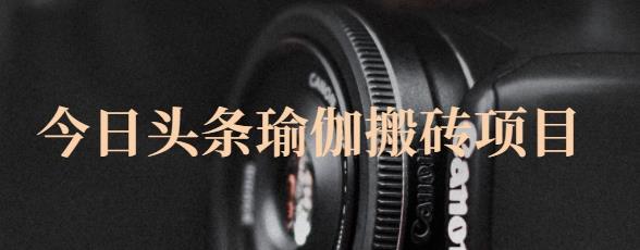 猎人社区·今日头条瑜伽搬砖项目，单号一天几十收入，可以批量操作！-悟空知识星球