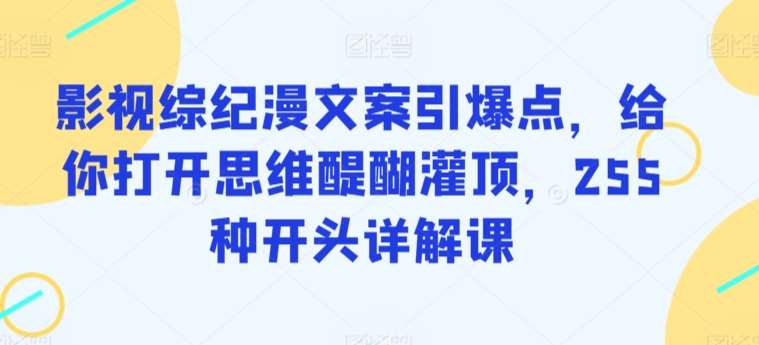 影视综纪漫文案引爆点，给你打开思维醍醐灌顶，255种开头详解课-悟空知识星球