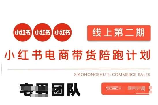 小红书电商带货课2期，月利润20个的小红书电商的有货源，无货源，虚拟产品，付费投流等整套玩法-悟空知识星球