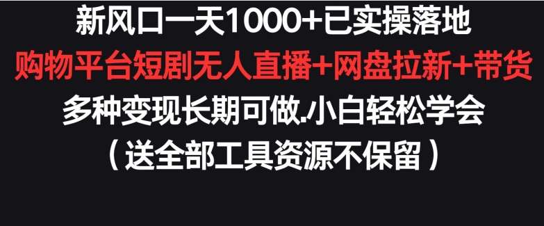 新风口一天1000+已实操落地购物平台短剧无人直播+网盘拉新+带货多种变现长期可做【揭秘】-悟空知识星球